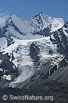 F087276: Lenzspitze, Nadelhorn und Hohbalmgletscher