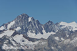 F087343: Finsteraarhorn und Agassizhorn
