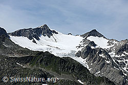F087583: Gigilistock und Taleggligletscher