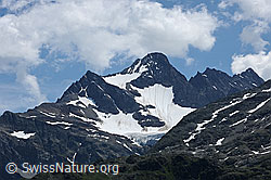 F087606: Gross Griessenhorn, Stucklistock, Fleckistock und Tschingelfirn