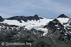 F087609: Giglistock und Taleggligletscher