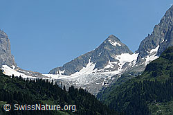 F087643: Grassen und Wendengletscher