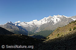 F088509: 4000er über Saas Fee