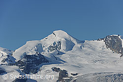 F088528: Allalinhorn und Feegletscher
