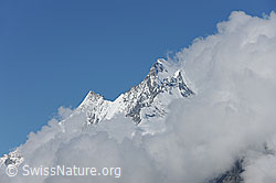 F088541: Wolkenstimmung mit Täschhorn und Dom