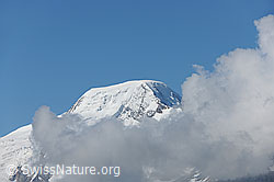 F088542: Wolkenstimmung mit Alphubel