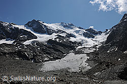 F088561: Fletschhorn und Grüebugletscher
