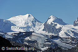 F089673: Zwillinge Castor und Pollux