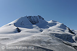 F089683: Rimpfischhorn und Gletscherlandschaft des Mellichgletschers