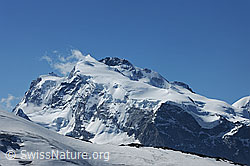 F089700: Signalkuppe, Nordend, Dufourspitze