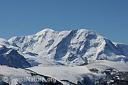 F089701: Liskamm