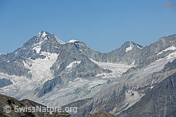 F089712: Dent Blanche, Ober Gabelhorn, Wellenkuppe und Grand Cornier