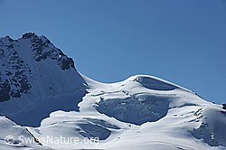 F089723: Rimpfischhorn, Rimpfischsattel und Mellichgletscher