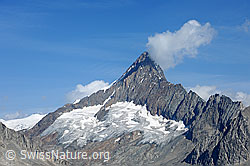 F089931: Finsteraarhorn vom Risihorn