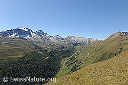 F090533: Saflischtal