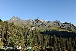 F090810: Im Lauterbrunnental: Schilthorn (Piz Gloria) und Birg