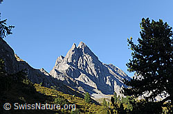 F090812: Im Lauterbrunnental: Ellstabhorn