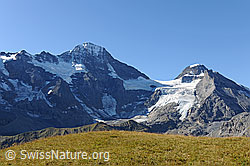 F090836: Lauterbrunnen Breithorn, Wetterlücke und Tschingelhorn