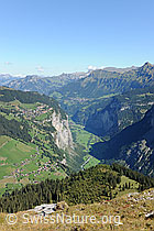 F090901: U-Tal
