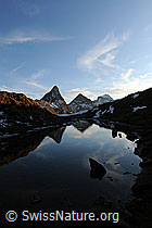 F093002: Spiegelung in kleinem Bergsee