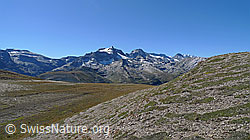 F093751: Kamm des Breithorns