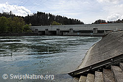 F095523: Flusskraftwerk Bannwil
