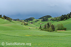 F096454: Gewitterstimmung über grüner Landschaft im Frühjahr