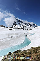 F097434: Hellblaues Wasser in eisbedecktem Bergsee