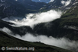 F098181: Berglandschaft mit Wolkenstimmung im Morgenlicht