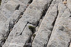 F098347: Risse im Fels