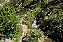 F100042: Sprudelndes Wasser in einer Suone