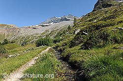 F100052: Wasserleitung in sommerlicher Berglandschaft