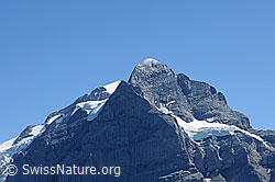 F100602: Scheideggwetterhorn und Wetterhorn