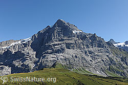 F100664: Felswände der Wetterhorngruppe, Grindelwald