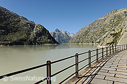 F100738: Auf der Staumauer am Grimselsee