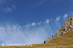 F102377: Gleichmässig angeordnete Federwolken zieren den blauen Himmel