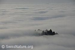 F102653: Nebelmeer
