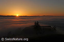F103055: Sonnenuntergang und Nebelmeer
