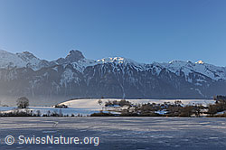 F104331: Blick über die Eisfläche des Übeschisee zum Stockhorn