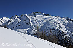 F104799: Berglandschaft mit Schinhörner und Chollerhorn im Winter