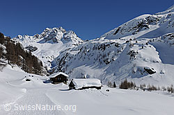 F104851: Winterbild: Ofenhorn und Alphütten