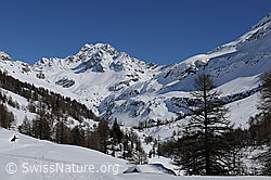 F104862: Markantes Ofenhorn im Winter