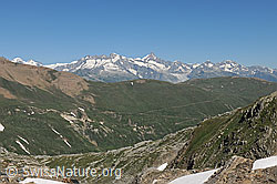 F110061: Blick über die Nordhänge des Saflischtals zu den Berner Alpen