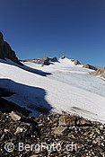 F110402: Chilchligletscher, Tungelgletscher und Wildhorn