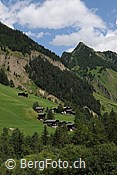 F111229: Holzerehischer