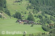 F111246: Fäld