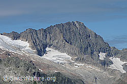 F111614: Ritzlihorn, Ärlengrätli und Ärlengletscher