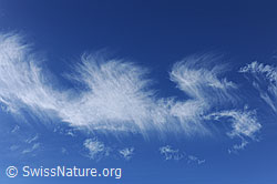 F112107: Weisses Muster aus Schleierwolken am blauen Himmel
