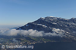 F115856: Rigi vom Bürgenstock