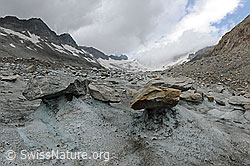 F120325: Gletschertische auf dem Oberaargletscher